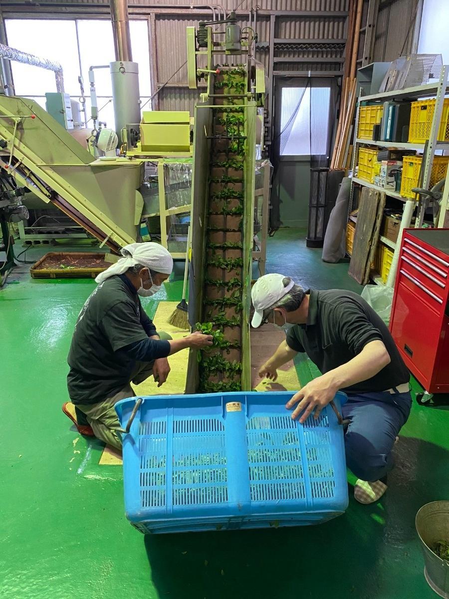 Sorting and classification by hand and machine.